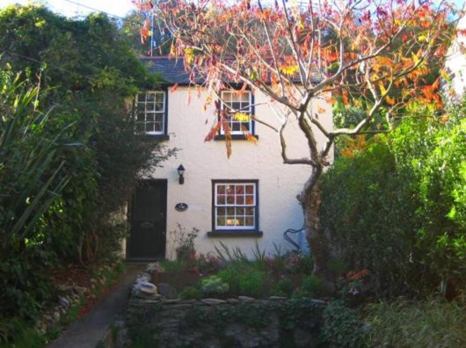 Cosy Private Cottage Near Beach Ilfracombe Dış mekan fotoğraf